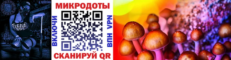 kraken tor  Лахденпохья  Галлюциногенные грибы Cubensis  что такое  