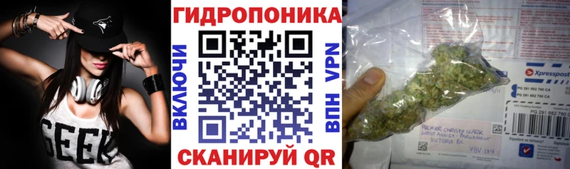 Бошки Шишки SATIVA & INDICA  закладки  Лахденпохья 